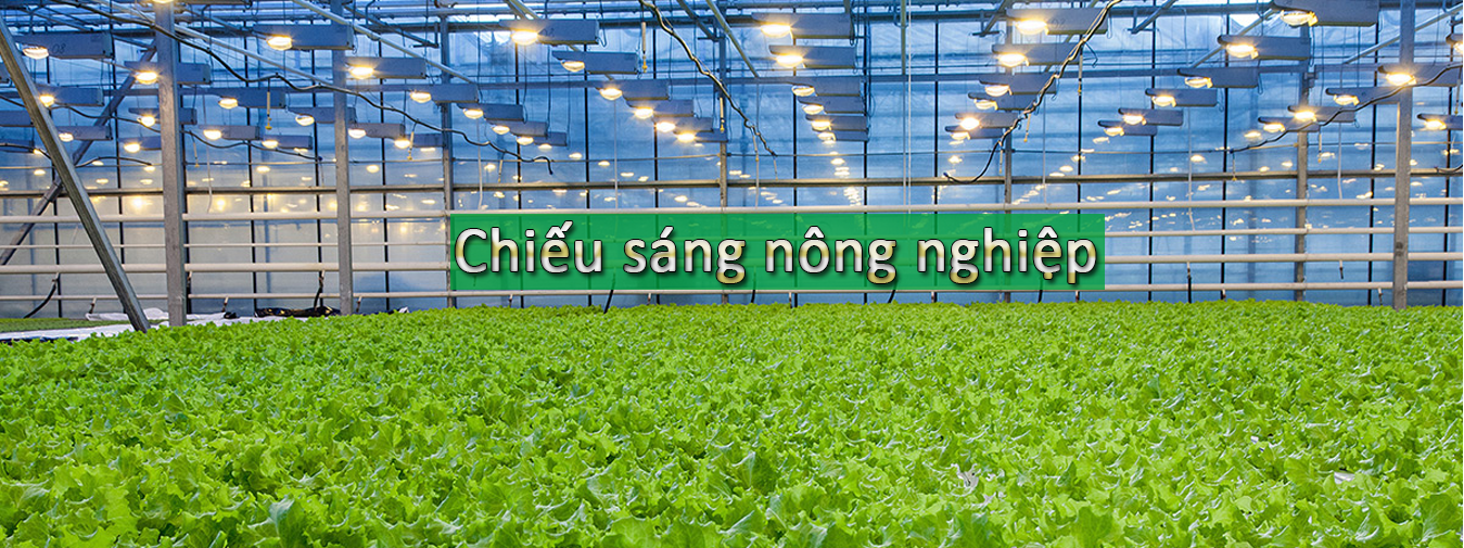 /bo-den-led-chong-am.html