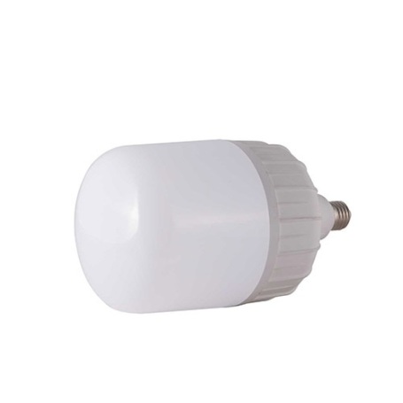 Đèn LED BULB TR100N1/30W (E27)