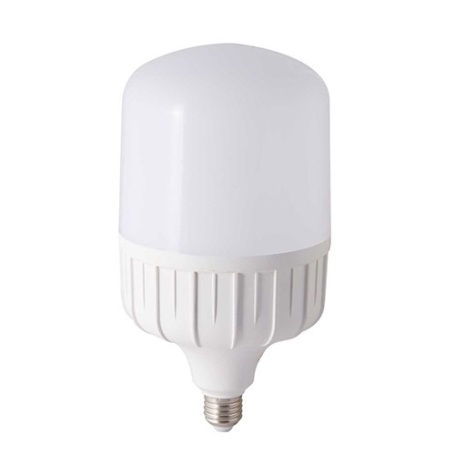 Đèn LED BULB TR80N1/20W (E27)