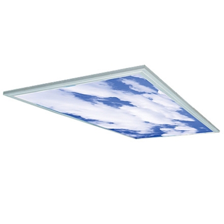 Đèn led panel D P01 MT 60x120/75W