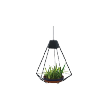 Đèn LED trang trí D QT012/5W